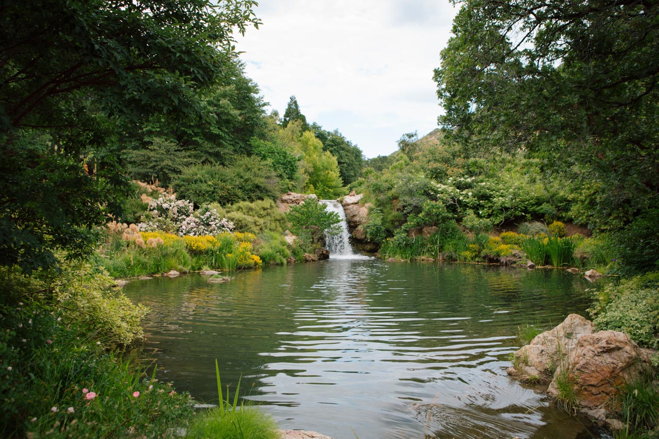 Waterfall near the Rose Garden.