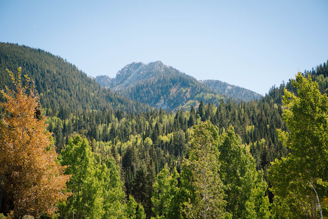 Mountain views at Silver Fork Lodge.